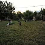 Koyevi בית הארחה אולימפוס