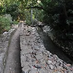 Koyevi * אולימפוס