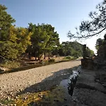 Koyevi בית הארחה