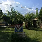 Koyevi * אולימפוס
