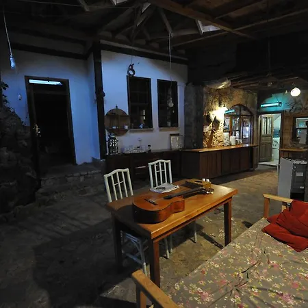 Koyevi * Olympos