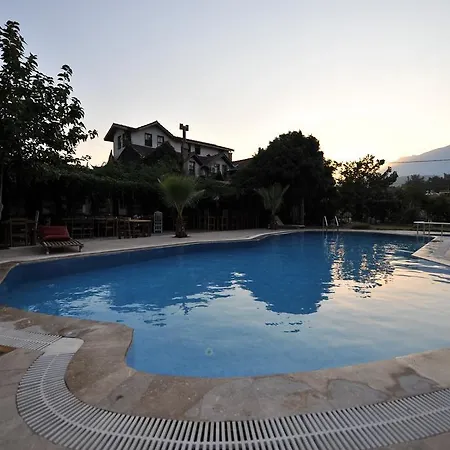 Koyevi Olympos