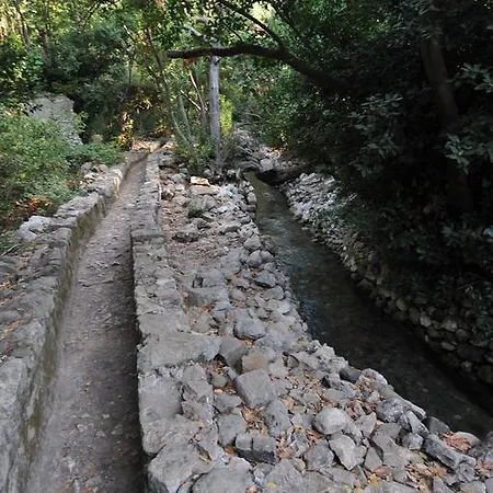 Koyevi * Olympos
