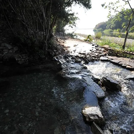 Koyevi *