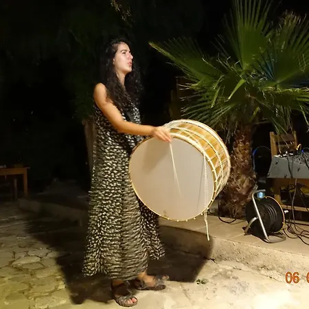 Koyevi * Olympos