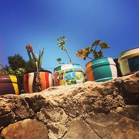 Koyevi Olympos