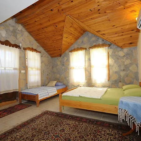 Koyevi *