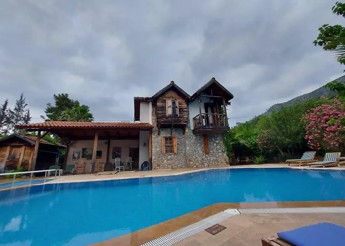 Koyevi * Olympos