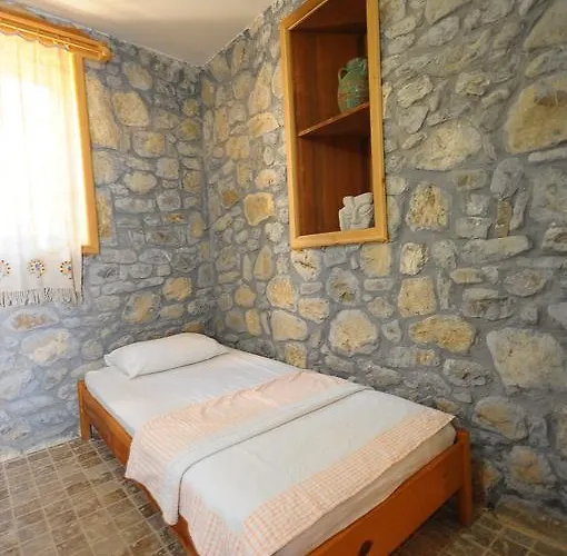 Koyevi * Olympos