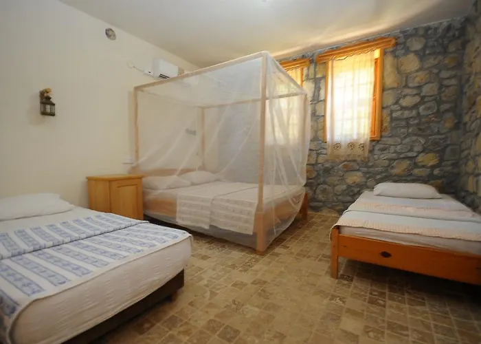 Pensiune Koyevi
