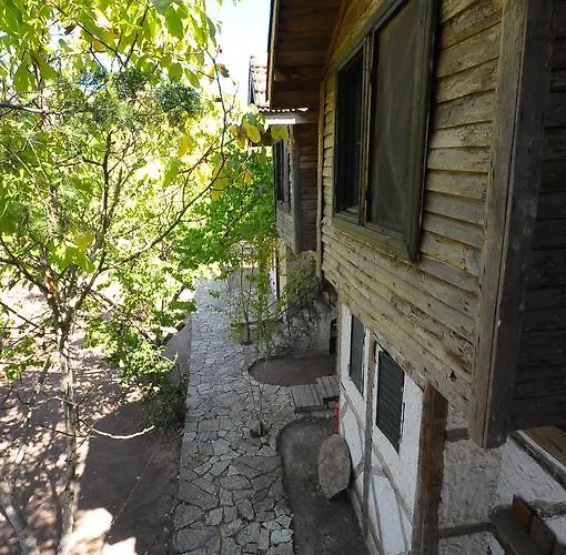 Koyevi *