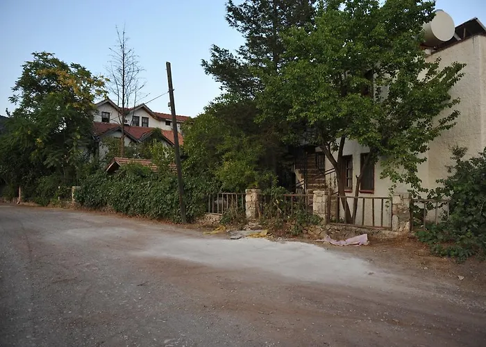 Koyevi *