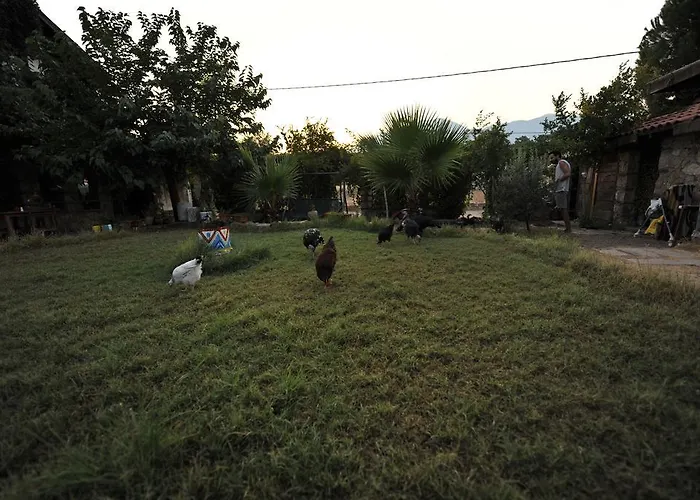 Koyevi Pensiune Olympos