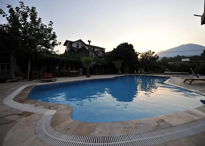 Koyevi Olympos