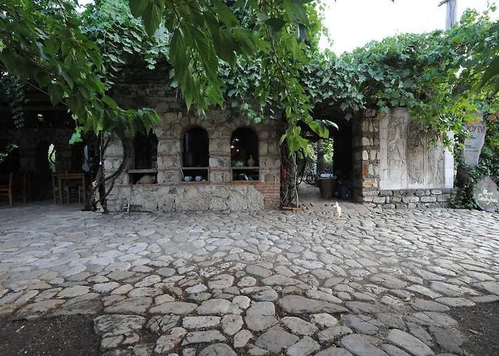 Koyevi * Olympos