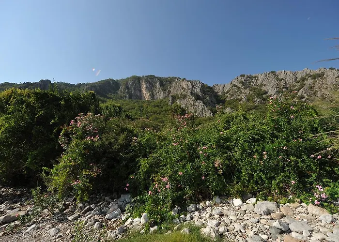 Pensiune Koyevi *