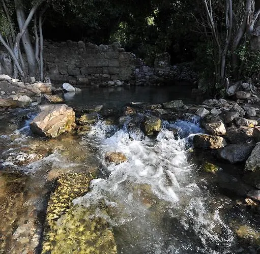 Pensiune Koyevi Olympos