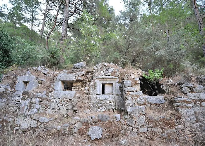 Koyevi * Olympos