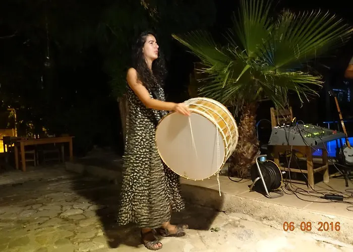 Koyevi * Olympos
