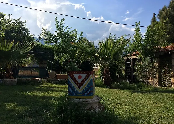 Koyevi * Olympos