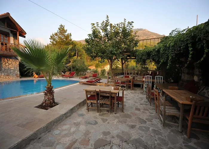 Koyevi Pensiune Olympos