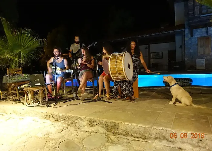Koyevi Pensiune *