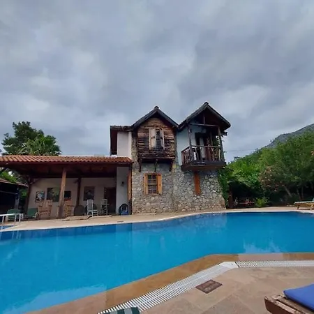 Koyevi * Olympos