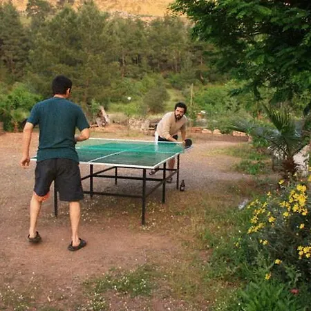 Guest house Koyevi *