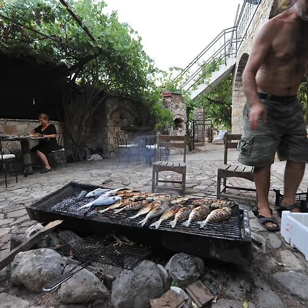 Koyevi