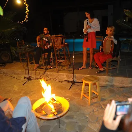 Koyevi * Olympos