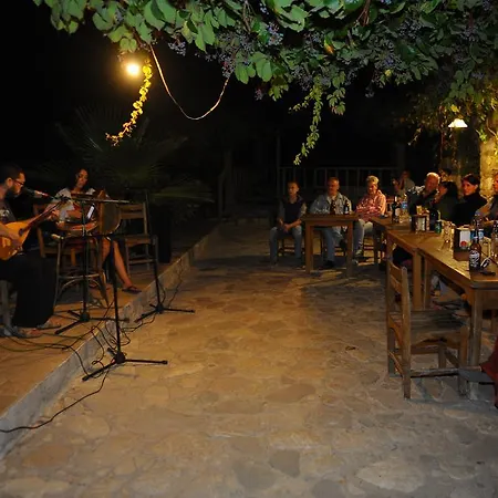 Koyevi *