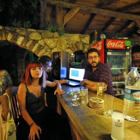 Koyevi