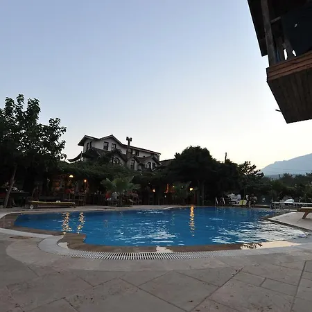 Affittacamere Koyevi