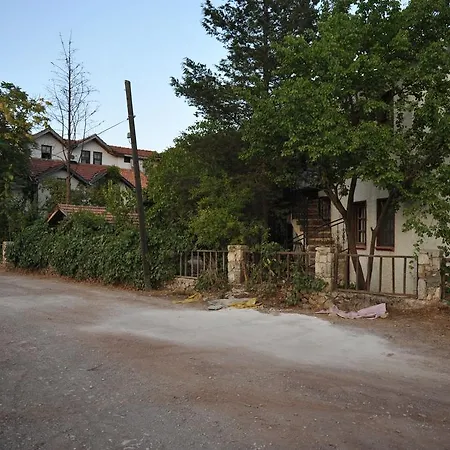Koyevi *