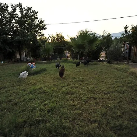 Koyevi Guest house Olympos