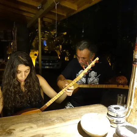 Affittacamere Koyevi
