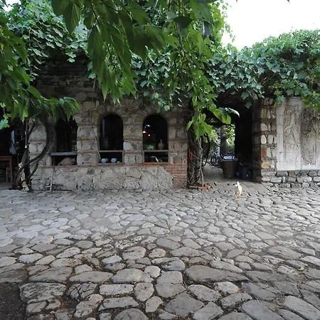 Koyevi * Olympos
