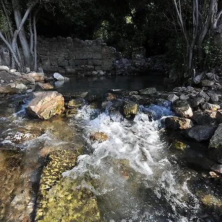 Pensión Koyevi Olympos