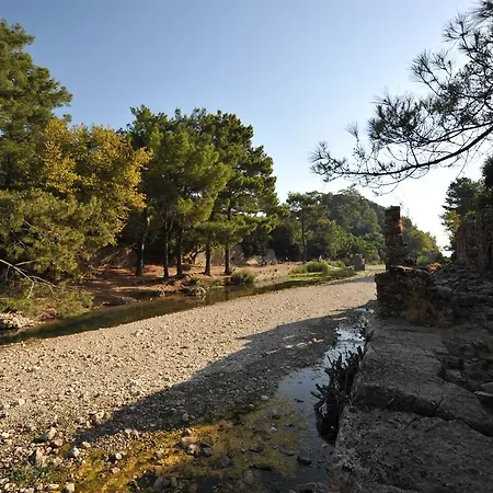 Koyevi Affittacamere