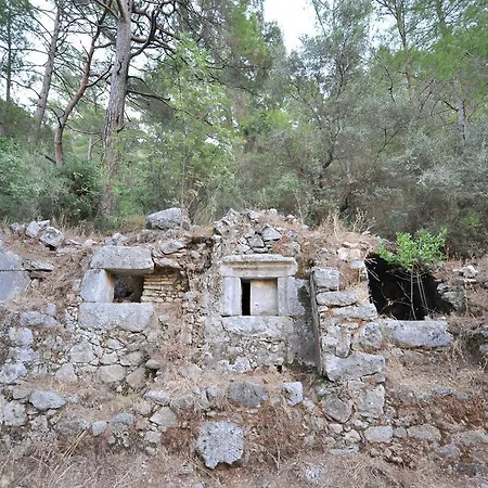 Koyevi * Olympos