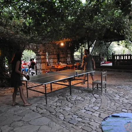 Guest house Koyevi