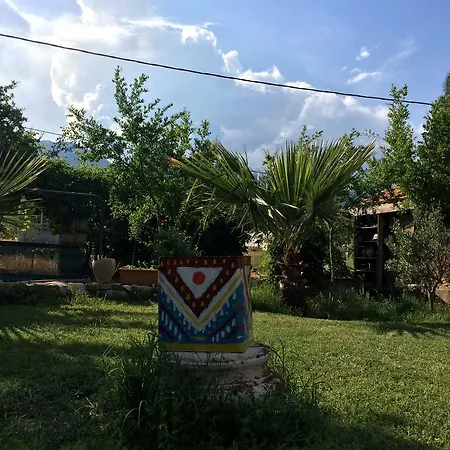 Koyevi * Olympos
