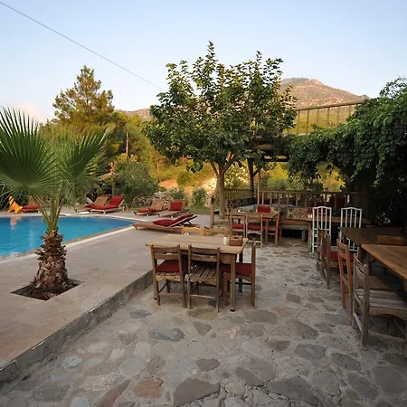 Koyevi Guest house Olympos