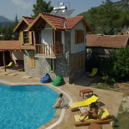 Koyevi *
