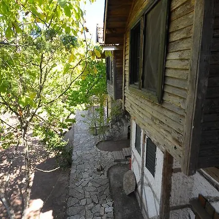 Koyevi *